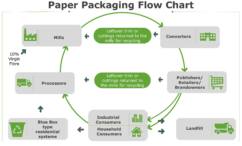 Paper Packaging Flow Chart