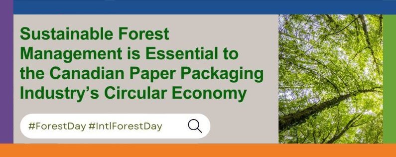 Sustainable Forest Management is Essential to Canada’s Paper Packaging Industry - Article By Rachel Kagan | Royal Containers Corrugated