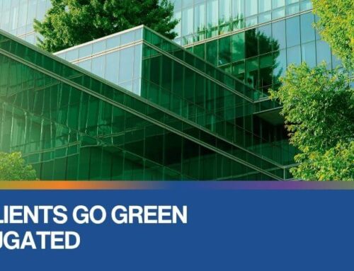 How Our Clients Go Green with Corrugated